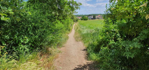 Vlaková zastávka Charvatská Nová Ves