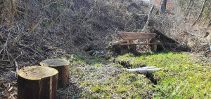 Studánka Věžná