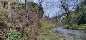 Výlet k železničnímu viaduktu u zastávky Sázava u Žďáru